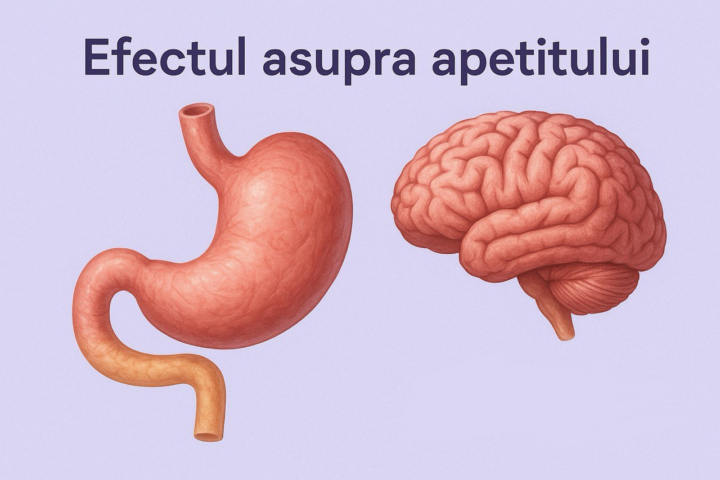 Ozempic: Efectul asupra apetitului